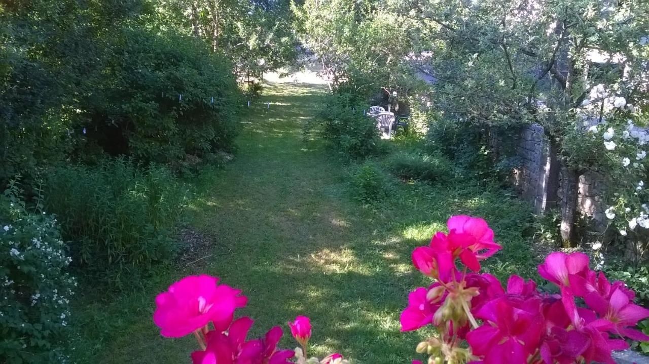 Au Domaine Des Oiseaux Bed & Breakfast Montredon  Exterior foto
