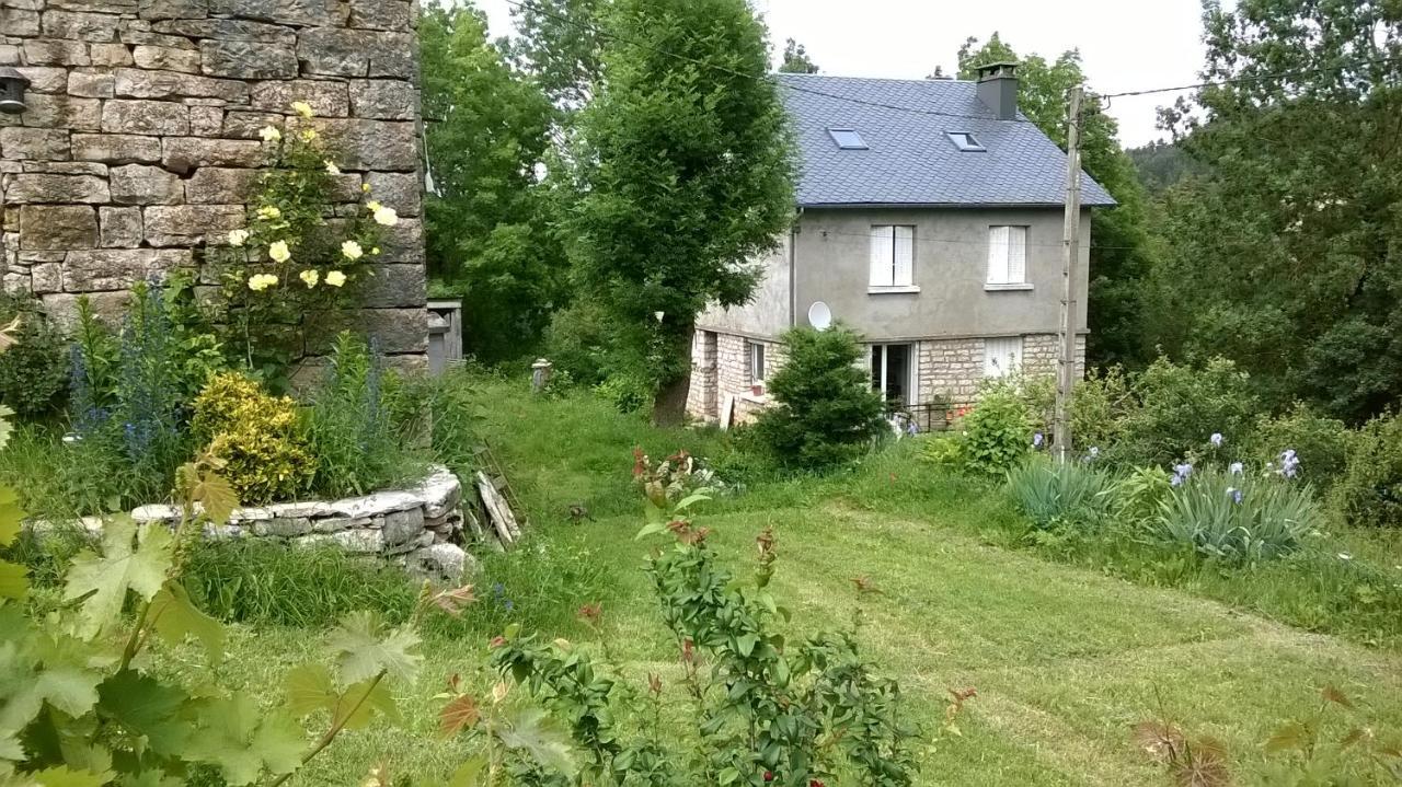 Au Domaine Des Oiseaux Bed & Breakfast Montredon  Exterior foto